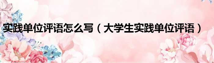 实践单位评语怎么写（大学生实践单位评语）