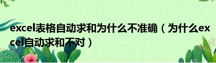 excel表格自动求和为什么不准确（为什么excel自动求和不对）