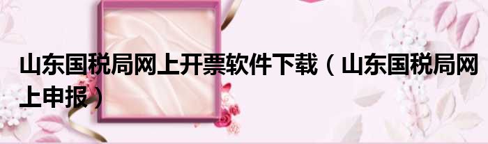山东国税局网上开票软件下载（山东国税局网上申报）