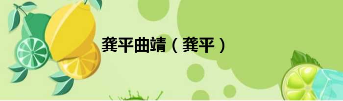 龚平曲靖（龚平）