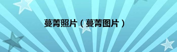 蔓菁照片（蔓菁图片）