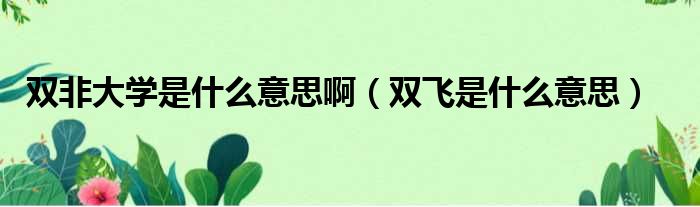 双非大学是什么意思啊（双飞是什么意思）