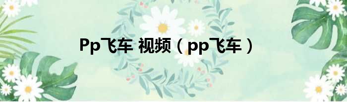 Pp飞车 视频（pp飞车）