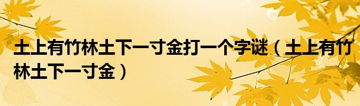 土上有竹林土下一寸金打一个字谜（土上有竹林土下一寸金）