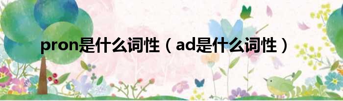 pron是什么词性（ad是什么词性）