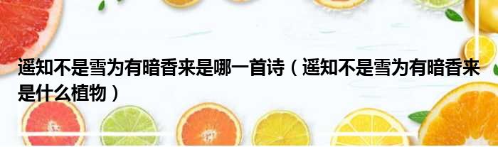 遥知不是雪为有暗香来是哪一首诗（遥知不是雪为有暗香来是什么植物）