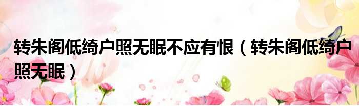 转朱阁低绮户照无眠不应有恨（转朱阁低绮户照无眠）