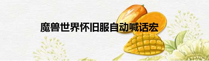 魔兽世界怀旧服自动喊话宏