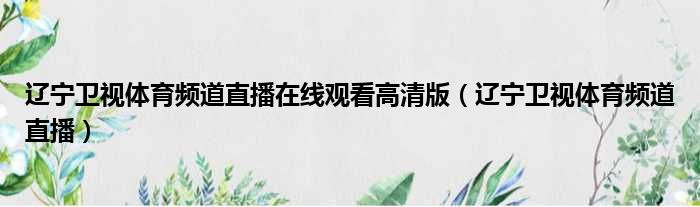辽宁卫视体育频道直播在线观看高清版（辽宁卫视体育频道直播）
