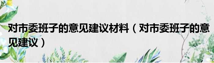 对市委班子的意见建议材料（对市委班子的意见建议）