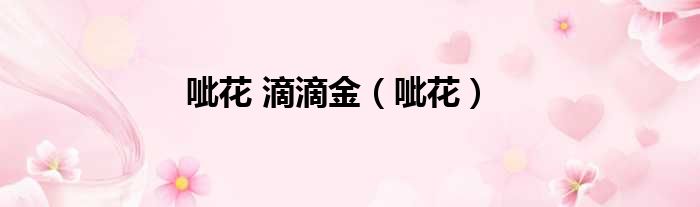 呲花 滴滴金（呲花）