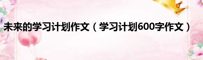 未来的学习计划作文（学习计划600字作文）