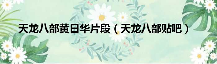 天龙八部黄日华片段（天龙八部贴吧）