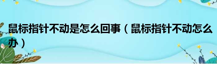 鼠标指针不动是怎么回事（鼠标指针不动怎么办）