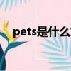 pets是什么意思中文（pets是什么意思）