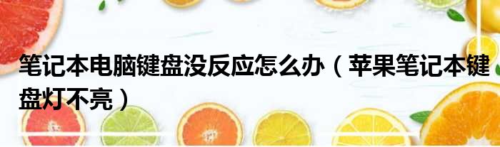 笔记本电脑键盘没反应怎么办（苹果笔记本键盘灯不亮）