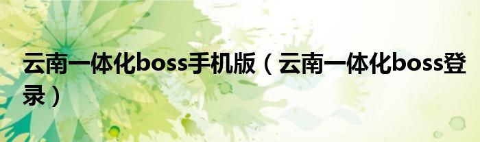云南一体化boss手机版（云南一体化boss登录）