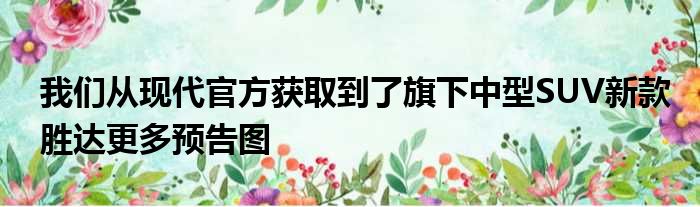 我们从现代官方获取到了旗下中型SUV新款胜达更多预告图