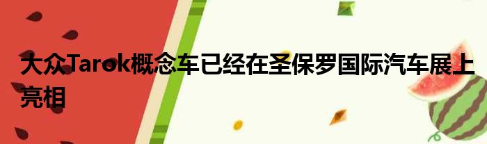 大众Tarok概念车已经在圣保罗国际汽车展上亮相