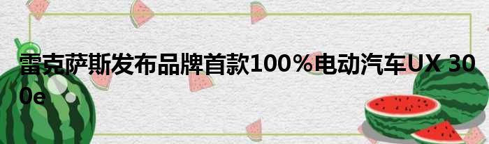 雷克萨斯发布品牌首款100％电动汽车UX 300e