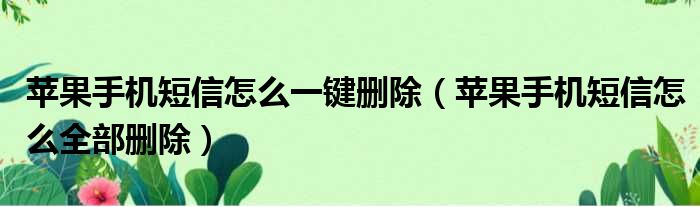 苹果手机短信怎么一键删除（苹果手机短信怎么全部删除）