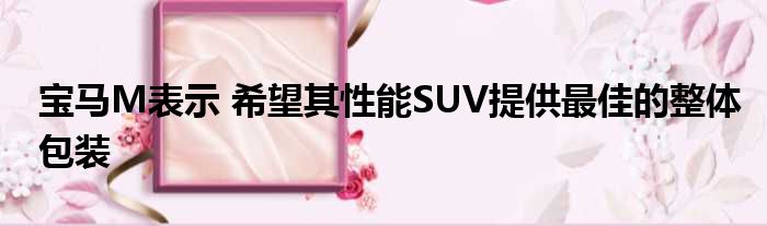 宝马M表示 希望其性能SUV提供最佳的整体包装