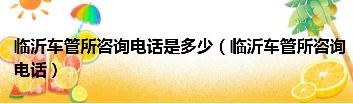 临沂车管所咨询电话是多少（临沂车管所咨询电话）