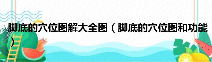 脚底的穴位图解大全图（脚底的穴位图和功能）