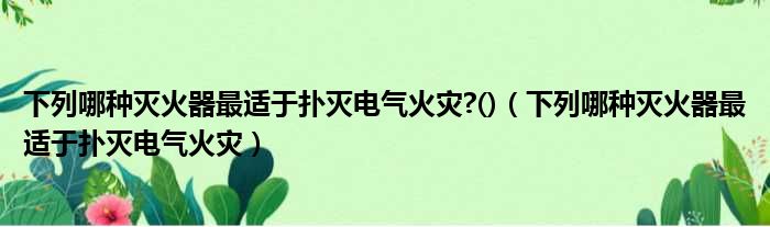 下列哪种灭火器最适于扑灭电气火灾?()（下列哪种灭火器最适于扑灭电气火灾）