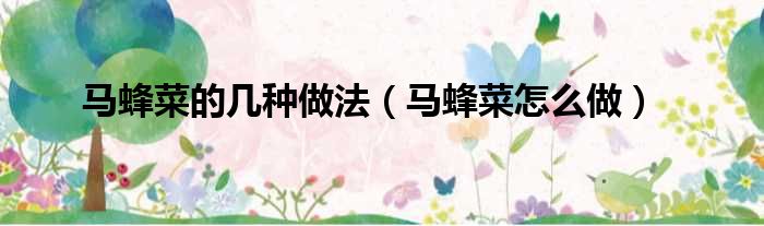 马蜂菜的几种做法（马蜂菜怎么做）