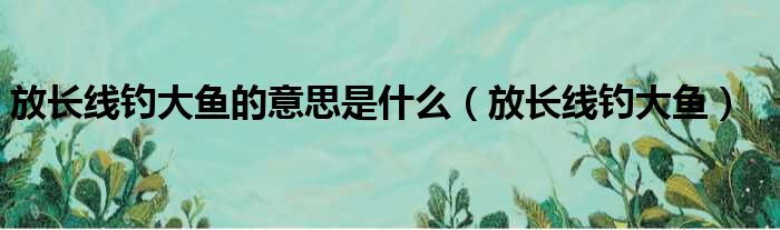 放长线钓大鱼的意思是什么（放长线钓大鱼）