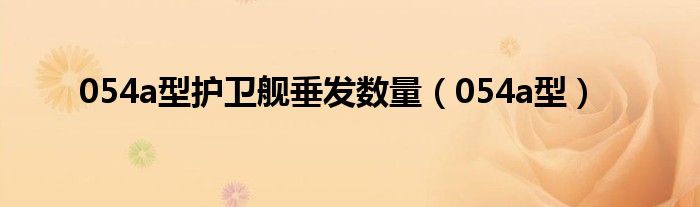 054a型护卫舰垂发数量（054a型）