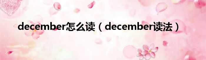 december怎么读（december读法）