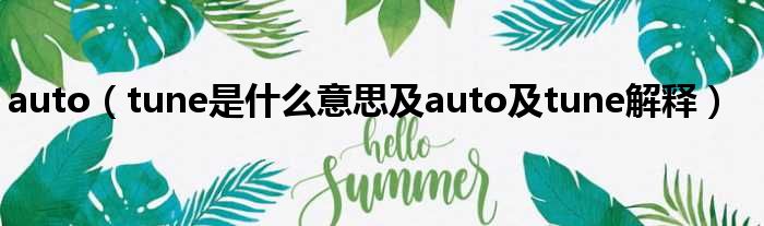 auto（tune是什么意思及auto及tune解释）