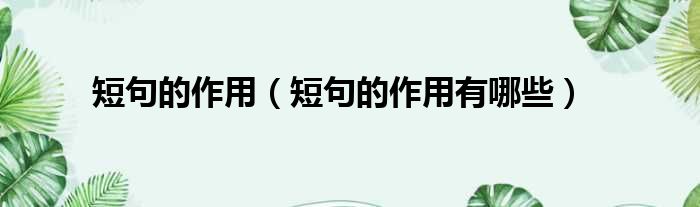 短句的作用（短句的作用有哪些）