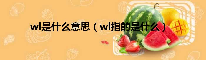 wl是什么意思（wl指的是什么）