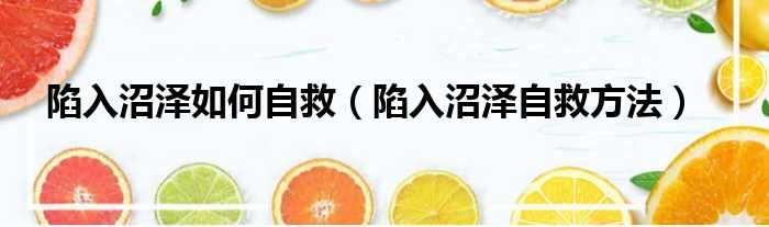 陷入沼泽如何自救（陷入沼泽自救方法）