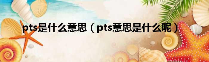 pts是什么意思（pts意思是什么呢）
