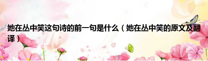 她在丛中笑这句诗的前一句是什么（她在丛中笑的原文及翻译）
