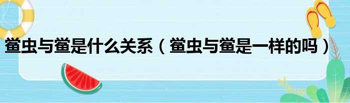 鲎虫与鲎是什么关系（鲎虫与鲎是一样的吗）
