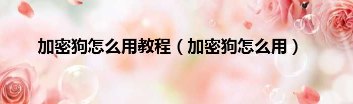 加密狗怎么用教程（加密狗怎么用）