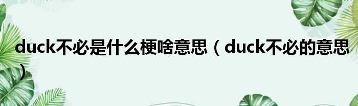 duck不必是什么梗啥意思（duck不必的意思）