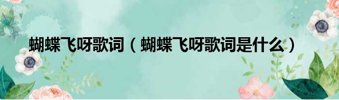 蝴蝶飞呀歌词（蝴蝶飞呀歌词是什么）