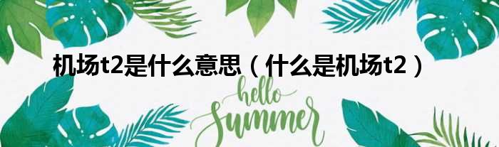 机场t2是什么意思（什么是机场t2）