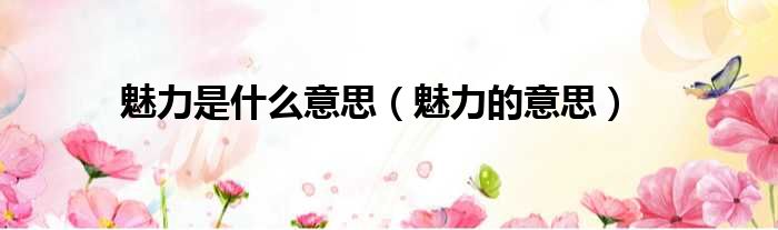 魅力是什么意思（魅力的意思）