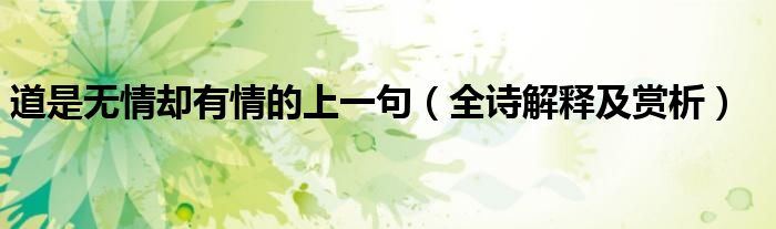 道是无情却有情的上一句（全诗解释及赏析）