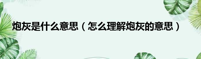 炮灰是什么意思（怎么理解炮灰的意思）