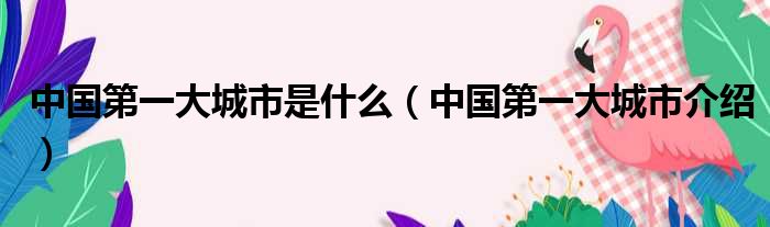中国第一大城市是什么（中国第一大城市介绍）