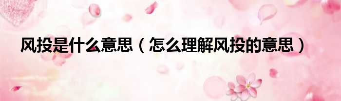 风投是什么意思（怎么理解风投的意思）