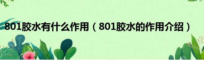 801胶水有什么作用（801胶水的作用介绍）